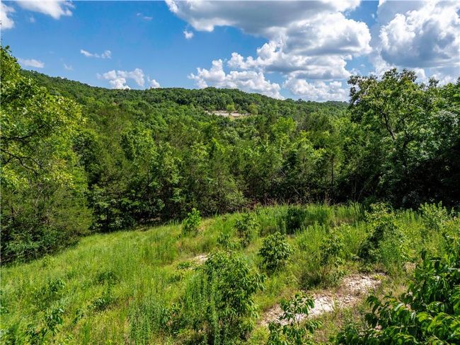 View of mountain backdrop with a forest | Image 7