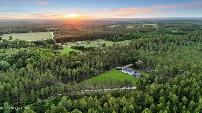 21 acres of freedom! | Image 20