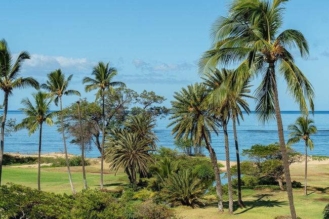 APT-523 - 938 S Kihei Rd, Condo with 1 bedrooms, 1 bathrooms and null parking in Kihei HI | Image 5