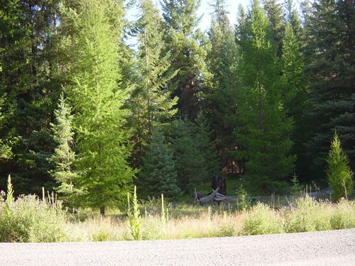 NHN Lot 11 Davis Creek Road, Libby, MT, 59923 | Card Image