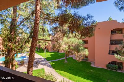 315 - 12222 N Paradise Village Parkway S, Condo with 1 bedrooms, 1 bathrooms and null parking in Phoenix AZ | Image 1