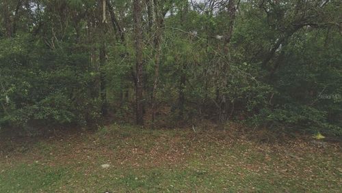 105 Rhode Island Ave, Satsuma, FL, 32189-3231 | Card Image