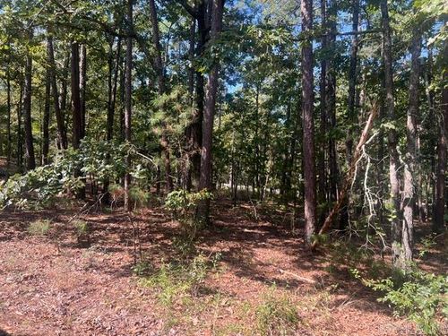 6 Zaragoza Lane, Hot Springs Village, AR, 71909 | Card Image