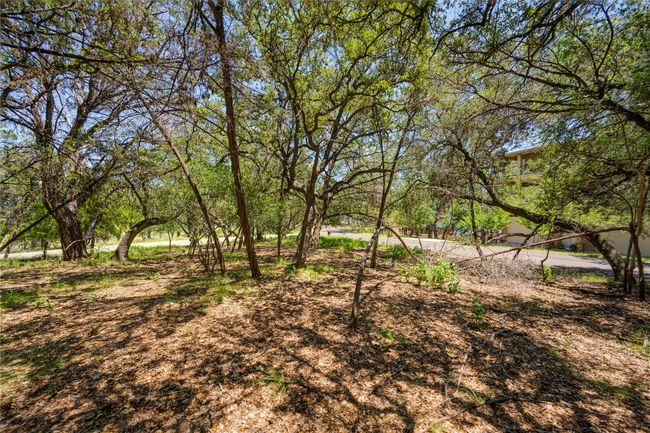 View of yard | Image 13