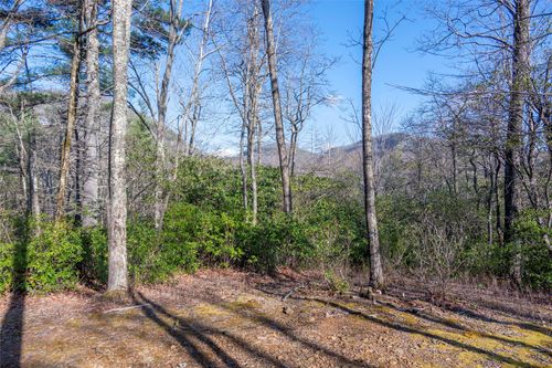 TRP 1 Cardinal Drive West, Lake Toxaway, NC, 28747 | Card Image