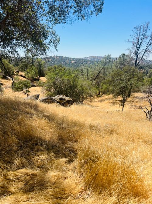 0 Deep Forest Dr, Coarsegold, CA, 93614 | Card Image