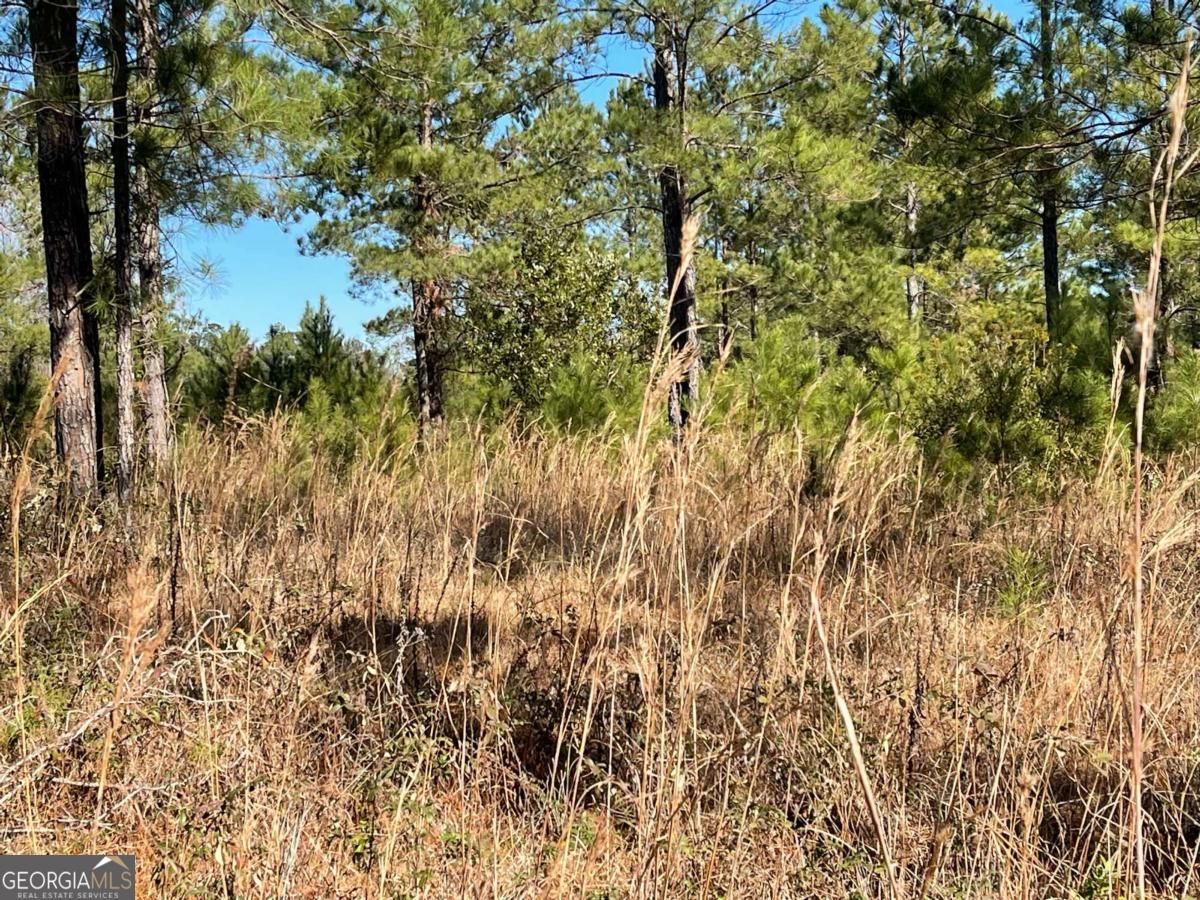 Land in Waynesville 3