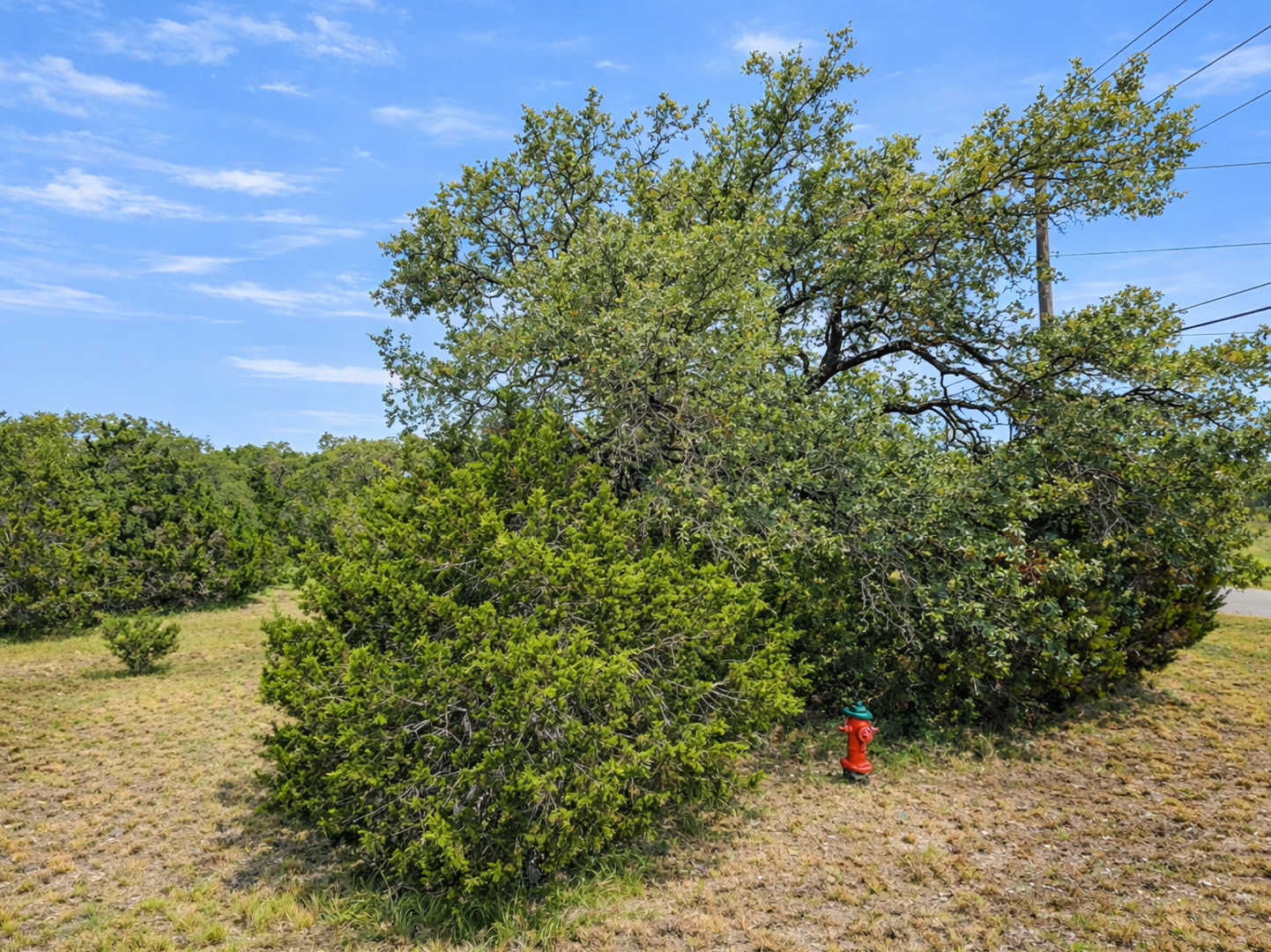 Land in Spring Branch 5