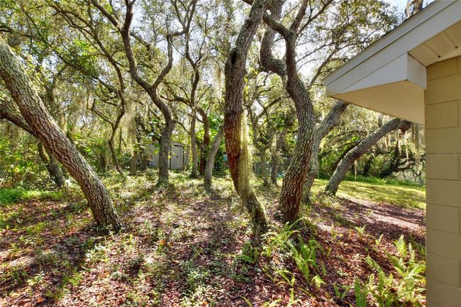 6730 Jenny Drive, House other with 3 bedrooms, 2 bathrooms and null parking in Lake Wales FL | Image 9