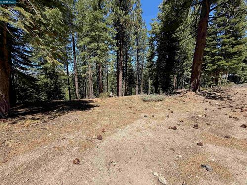 1578 Skyline Dr, South Lake Tahoe, CA, 96150-4956 | Card Image