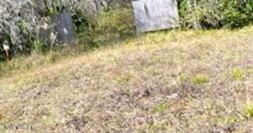 419 State Road 207, EAST PALATKA, FL, 32131-4103 | Card Image