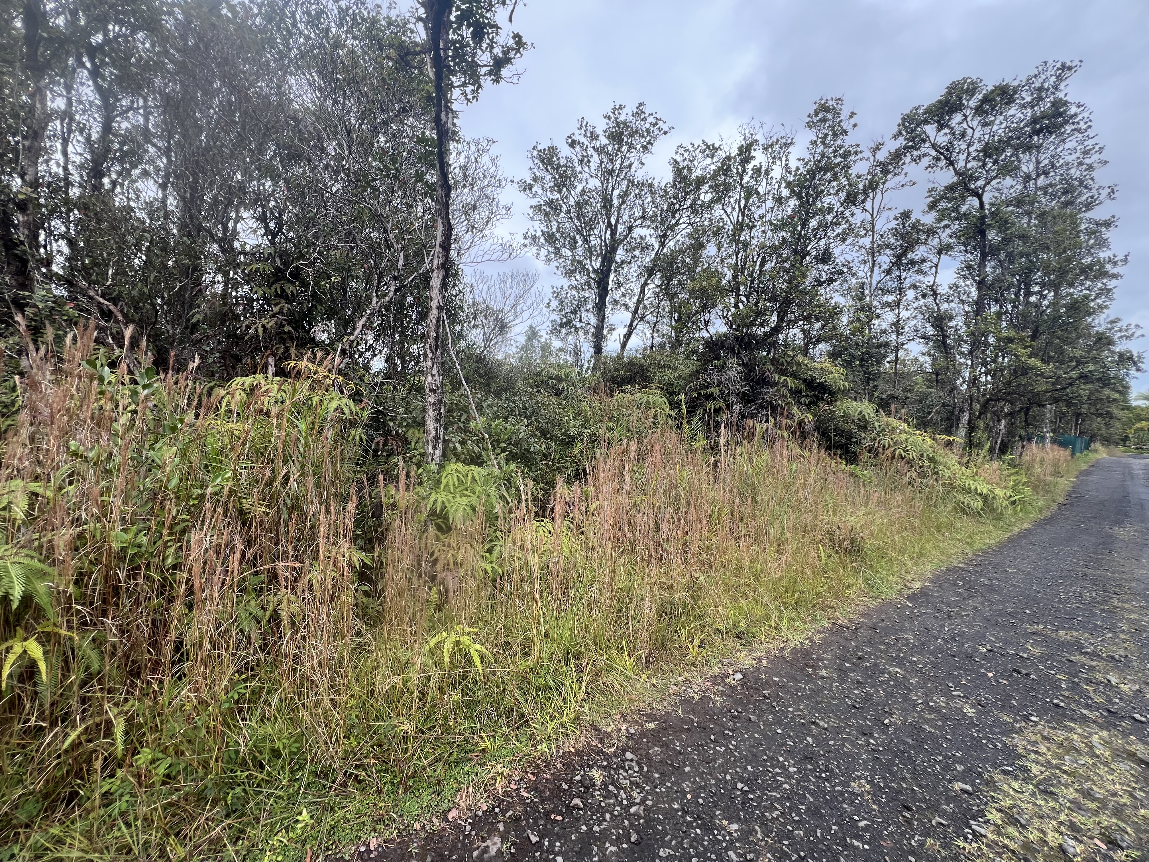 Land in Mountain View