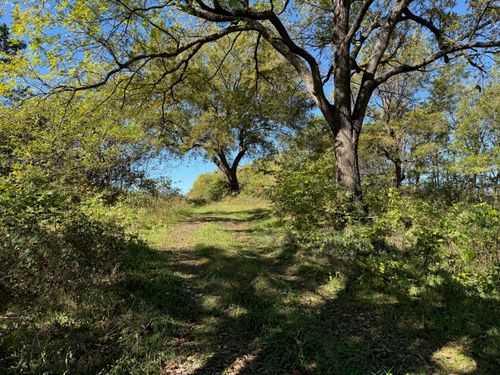 Xxx-A Teal Dr, Stark City, MO, 64866 | Card Image