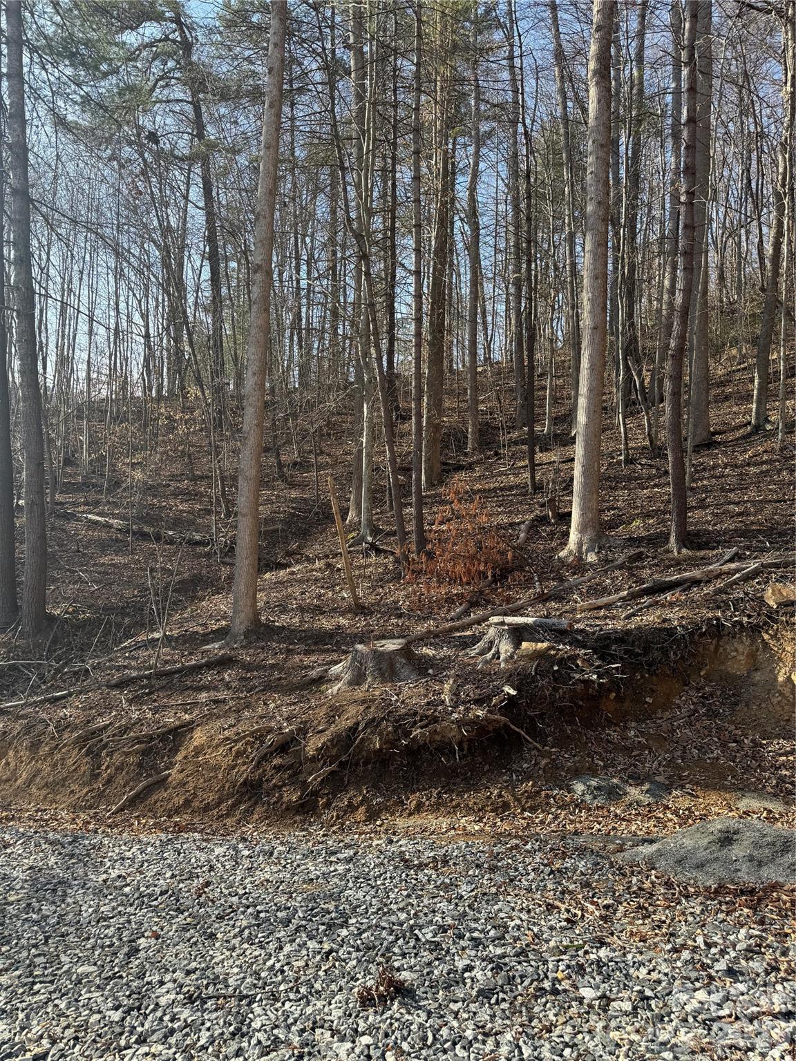 Land in Marshall 5