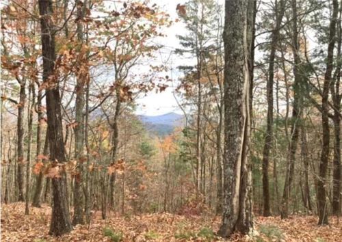 LOT 17 Abbott Mill Rd, Ellijay, GA, 30540-7820 | Card Image