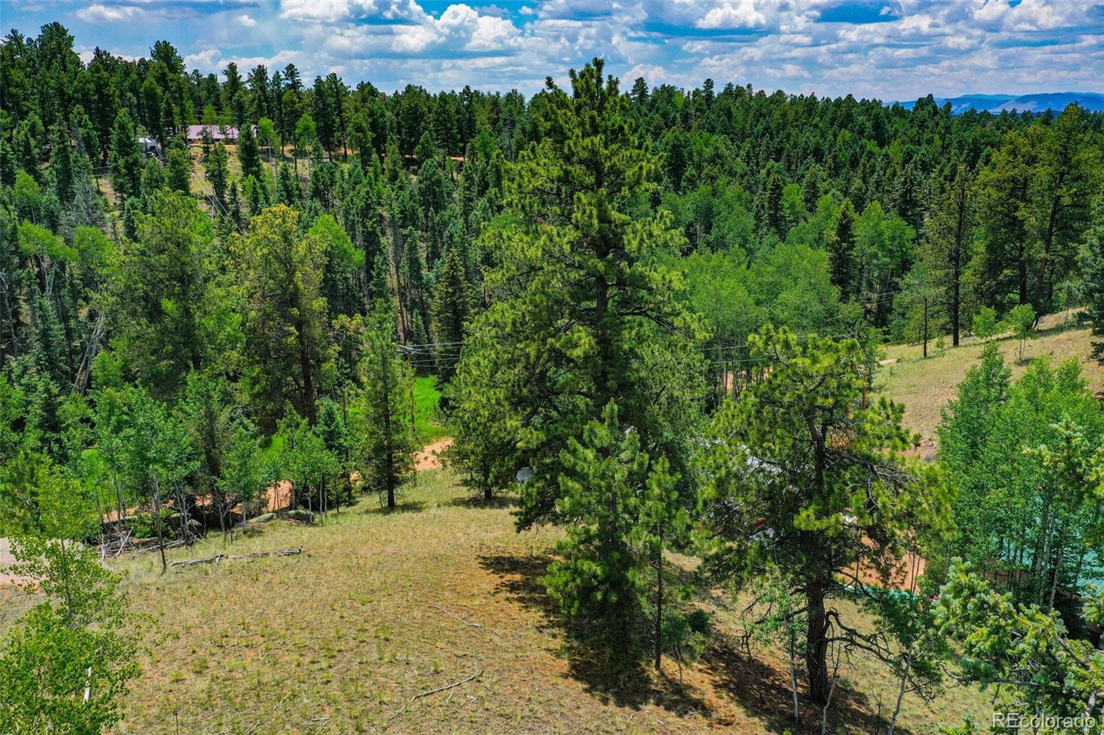 Land in Florissant 5