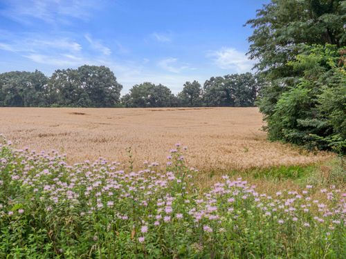 TBD Hwy Nn (20 Acres +/-), PILOT GROVE, MO, 65276 | Card Image