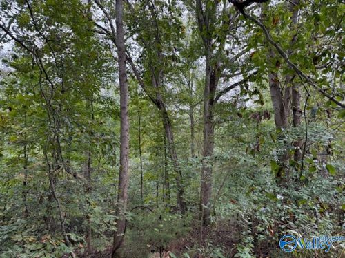 19.3 Acres County Hwy, Danville, AL, 35619 | Card Image