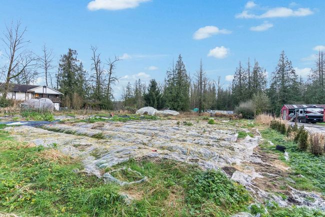 View of yard | Image 39