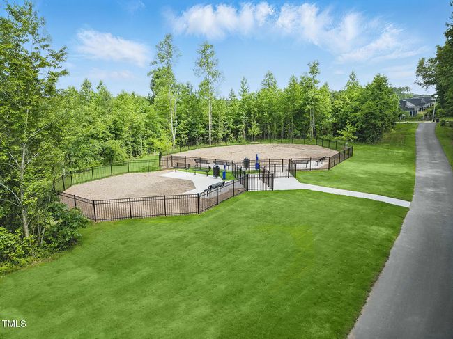 Dog Park | Image 6