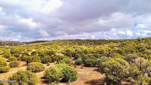 TBD Co Rd 8256 Lot D 10 Acres, Concho, AZ, 85924 | Card Image