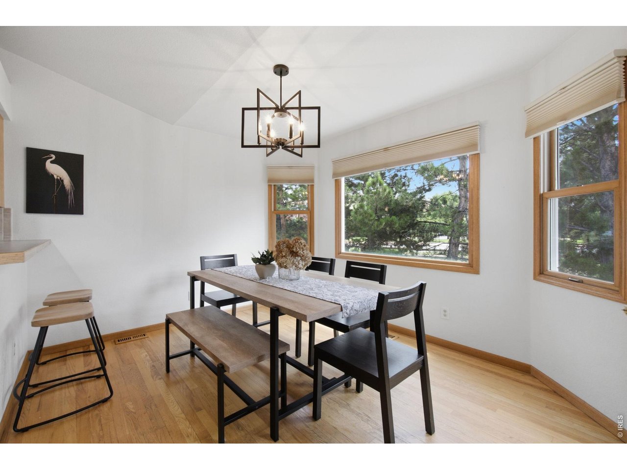 Residential in Fort Collins 5