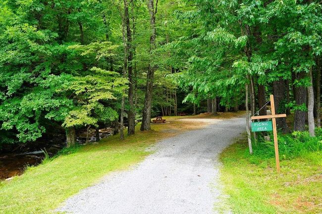 368 Walnut Rdg, Home with 4 bedrooms, 2 bathrooms and null parking in Ellijay GA | Image 40