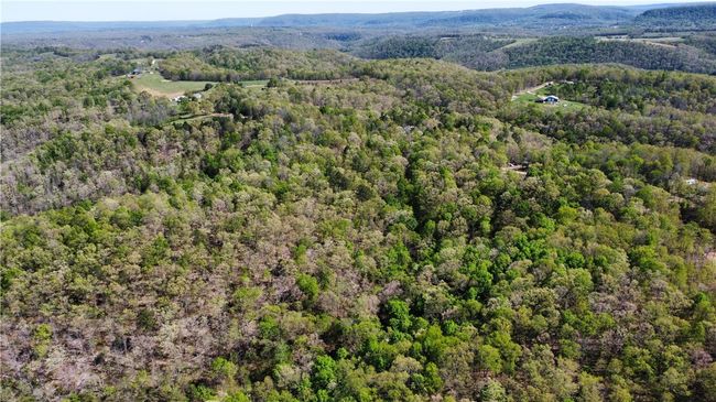 000 Holmes Rd, Home with 0 bedrooms, 0 bathrooms and null parking in Mountain View AR | Image 24