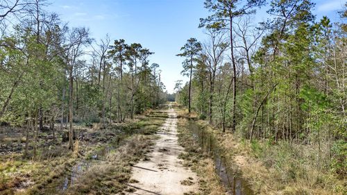 12310 Picos Rd, Saratoga, TX, 77585 | Card Image