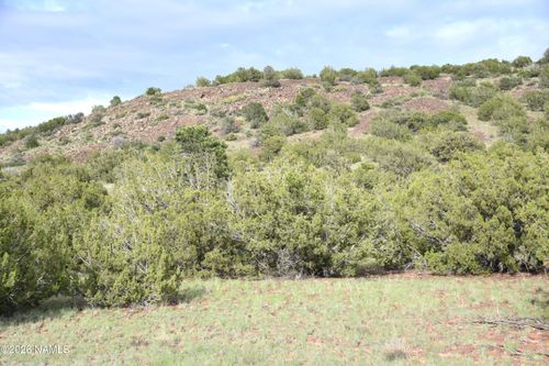 11310 S Grey Hawk Way, Williams, AZ, 86046 | Card Image