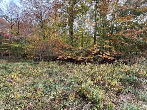 0 Watts Chapel Rd, Kenna, WV, 25248 | Card Image