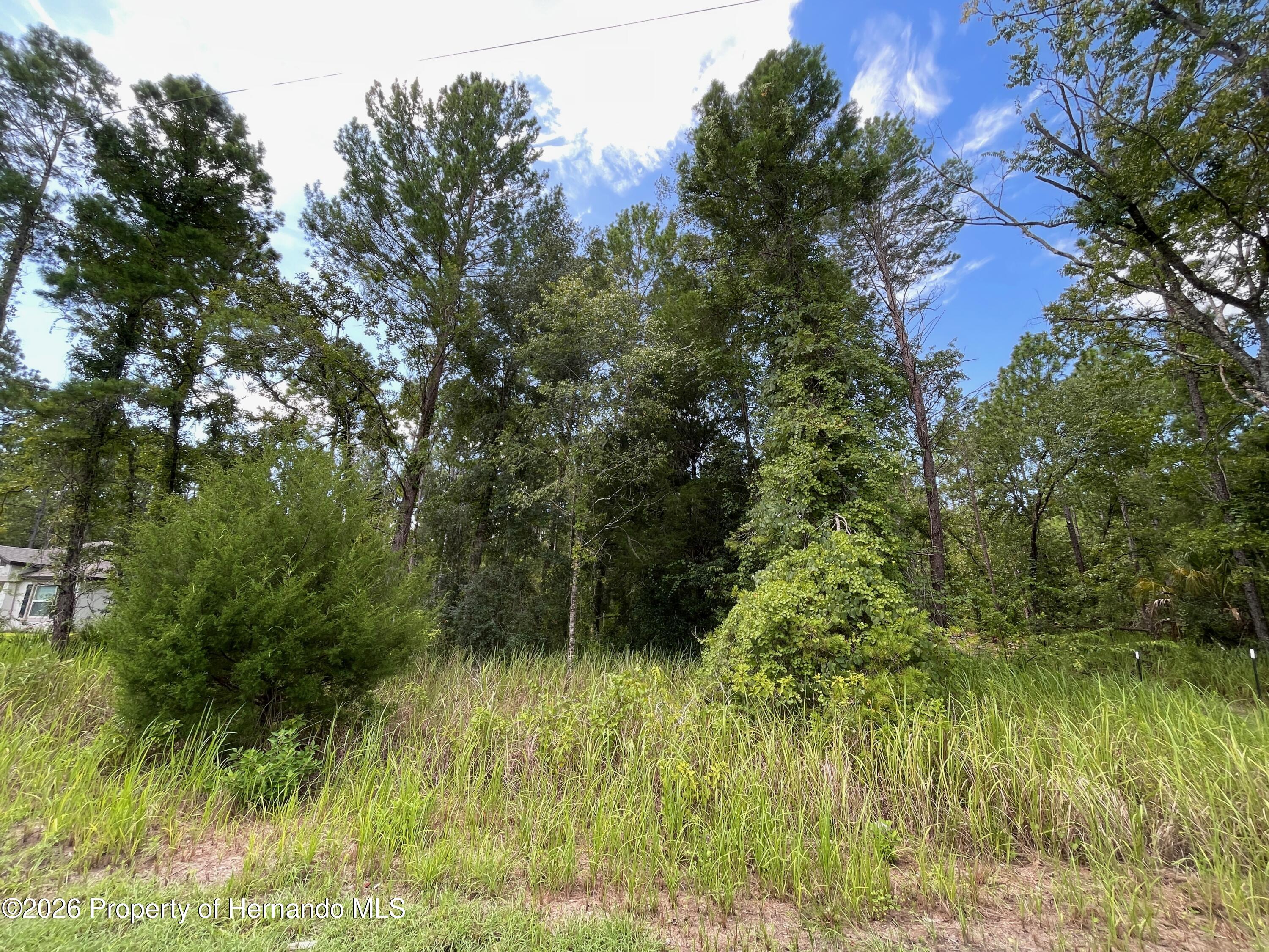 Land in Weeki Wachee 5