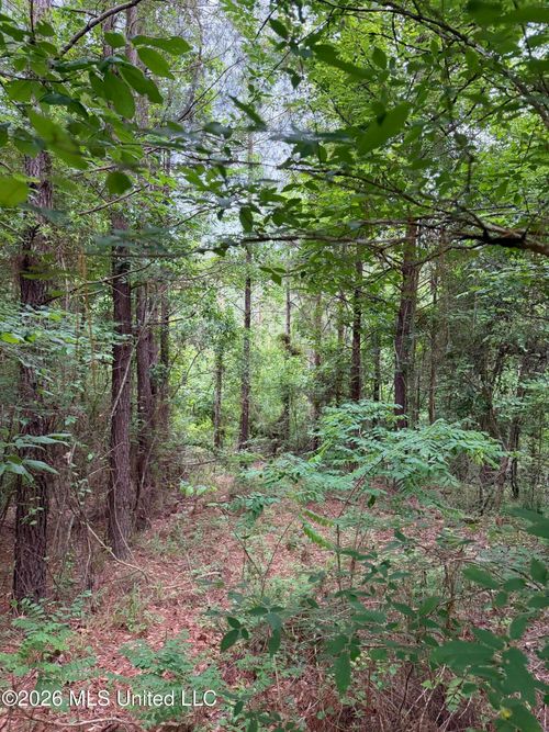 Tbd Hall Rd, Natchez, MS, 39120 | Card Image