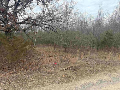 000 Black Rd, Conway, AR, 72032 | Card Image