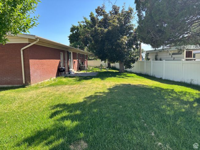 View of yard | Image 6