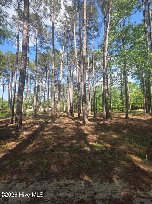 Lot #46 Juniper Ln, Currie, NC, 28435-5800 | Card Image