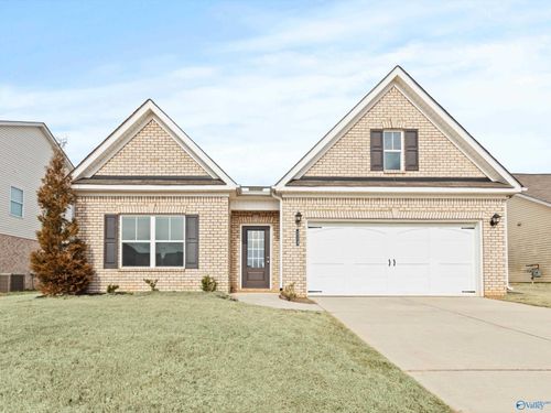 113 Story Ray Dr, New Market, AL, 35761-6500 | Card Image
