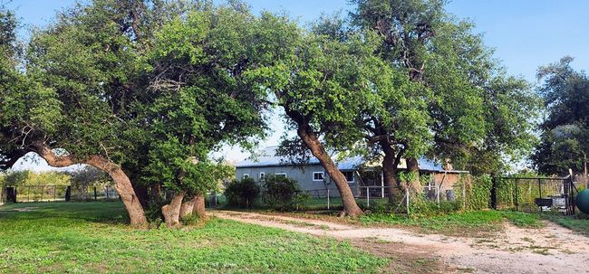 9286 County Road 2335, House other with 3 bedrooms, 2 bathrooms and 2 parking in Menard TX | Image 53