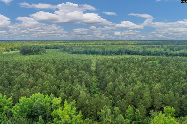 0000 N Brewington Rd, Home with 0 bedrooms, 0 bathrooms and null parking in Manning SC | Image 15