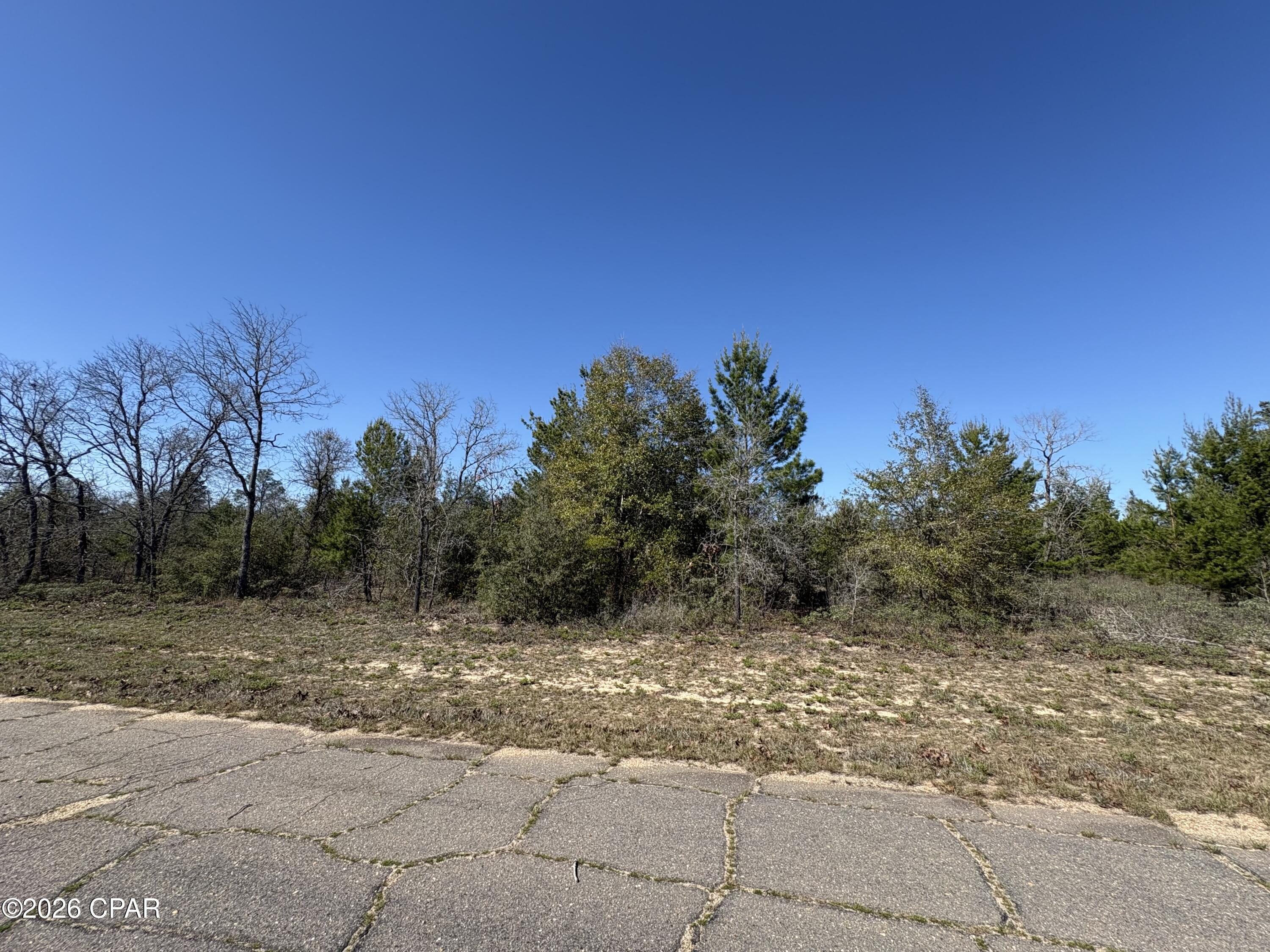 Land in Chipley 2