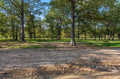 Lot 4 Alans Memorial Lane, Home with 0 bedrooms, 0 bathrooms and null parking in New Waverly TX | Image 3