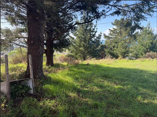 90 Fawn Drive, Shelter Cove, CA, 95589 | Card Image