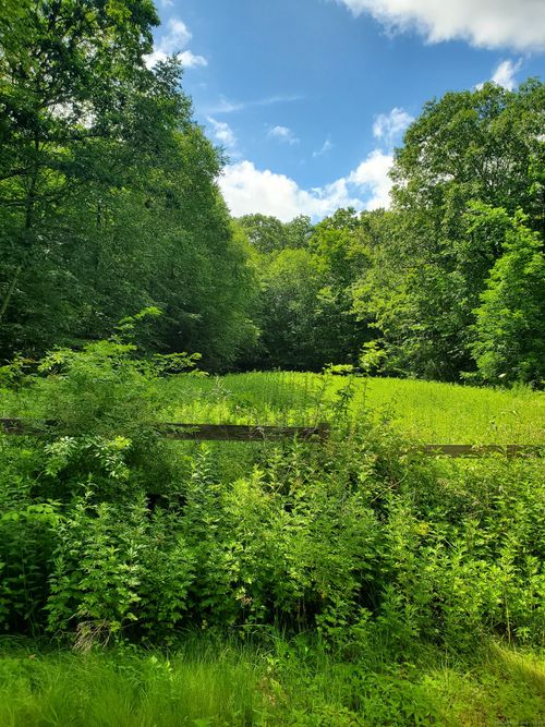 Lot 4A Weeks Rd W, Eastford, CT, 06242 | Card Image