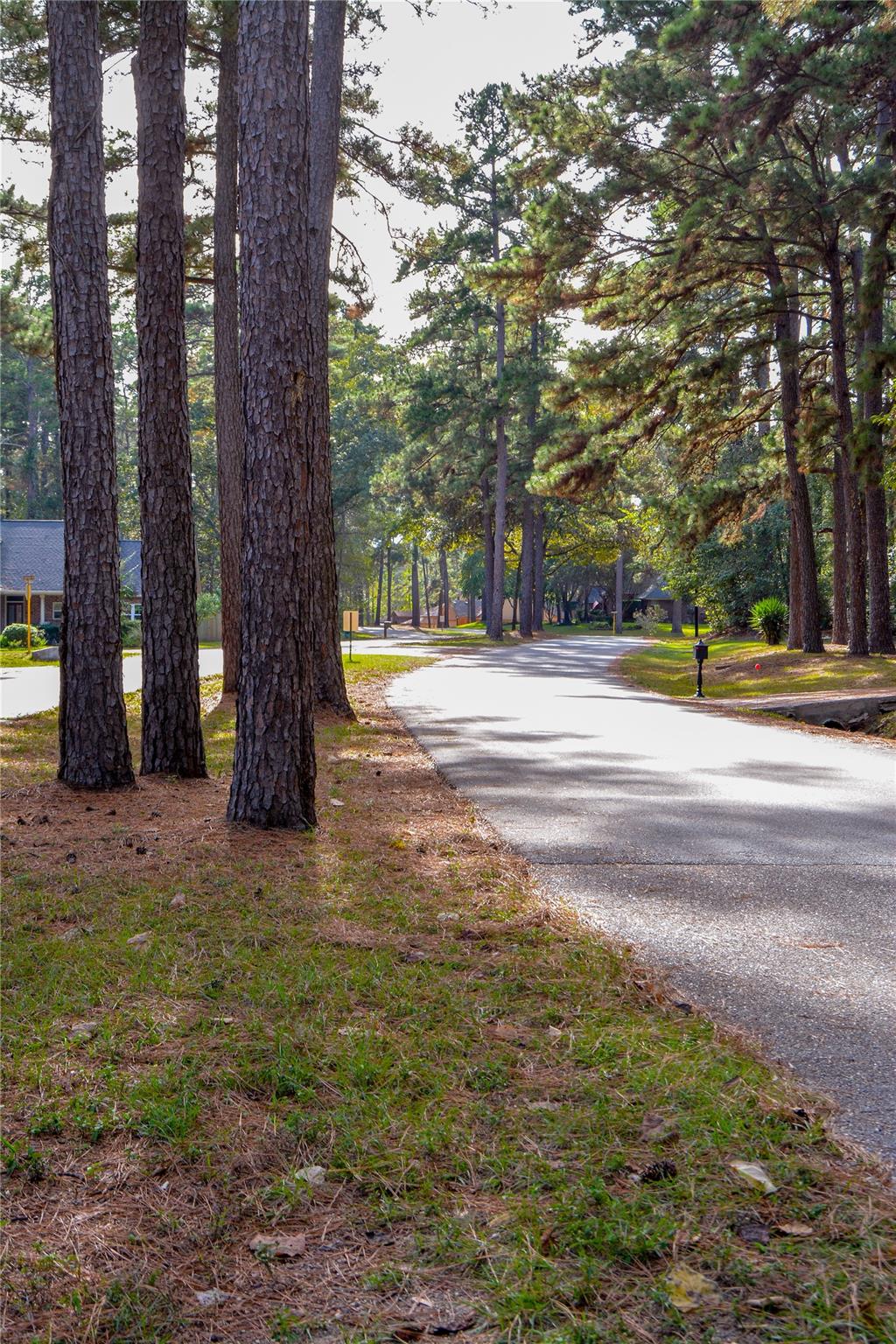 Residential in Willis 3