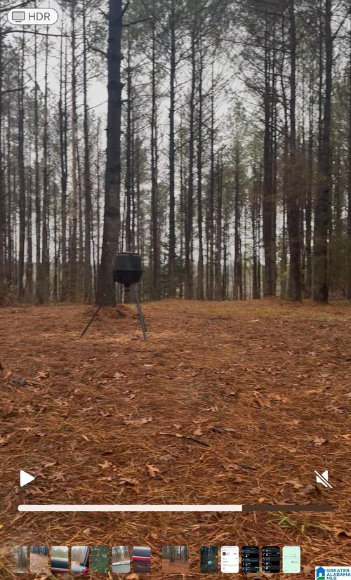 73-acres-73 acres County Road 93, Bankston, AL, 35542 | Card Image