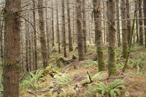 0 NKA Brooklyn Rd, Oakville, WA, 98568 | Card Image