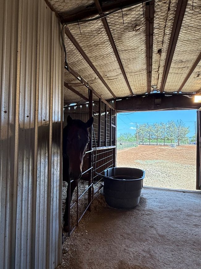 447 W Fm 1606, House other with 3 bedrooms, 2 bathrooms and 2 parking in Ira TX | Image 45