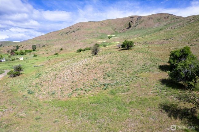 Vintage apple trees on this property. | Image 38