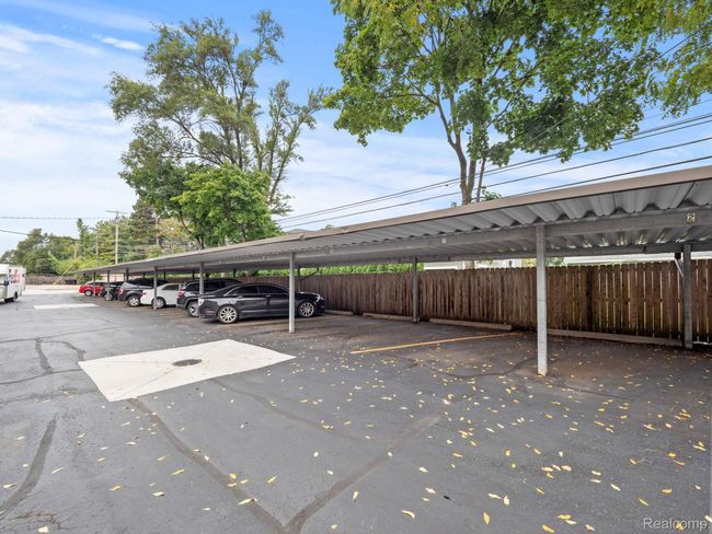 3-web-or-mls-P2846736.jpg | Image 15