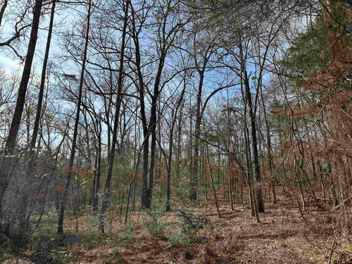TBD County Road 2439, Alto, TX, 75925 | Card Image